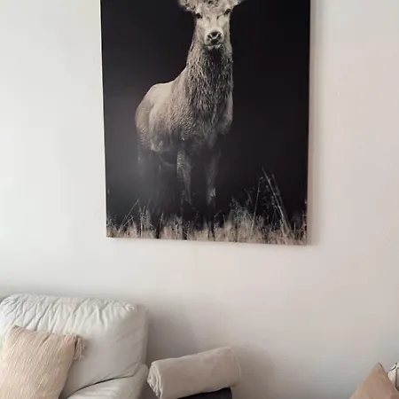 Appartement Bi Uns Chez Silvana Colmar