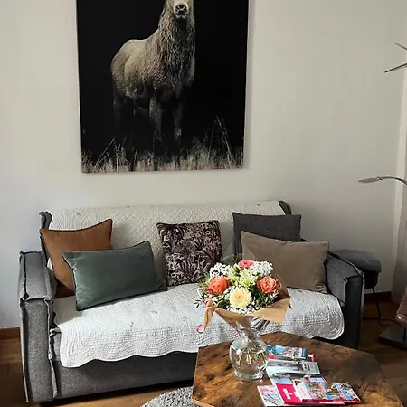 Lejlighed Bi Uns Chez Silvana Colmar
